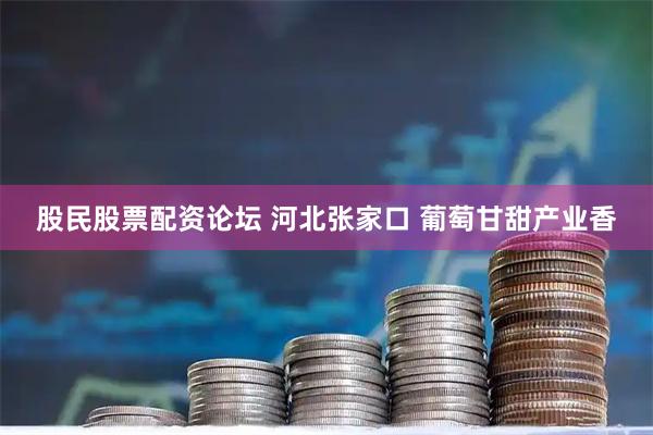 股民股票配资论坛 河北张家口 葡萄甘甜产业香